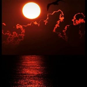 Meet your Posher, Claudio